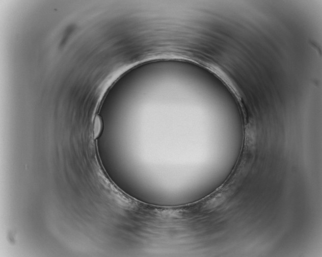 X0000101231004200807071407