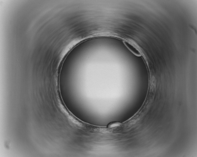 X0000101231005200807071407