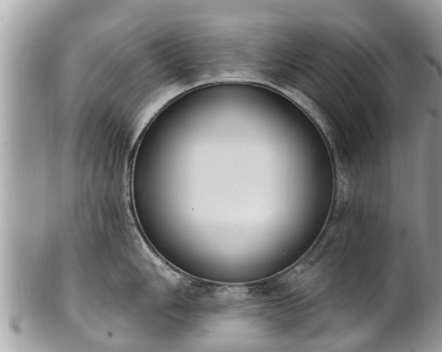 X0000101231006200807071407