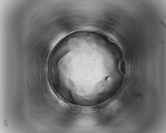 X0000101231007200807071407