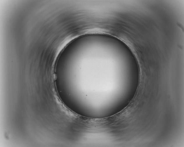 X0000101231008200807071407