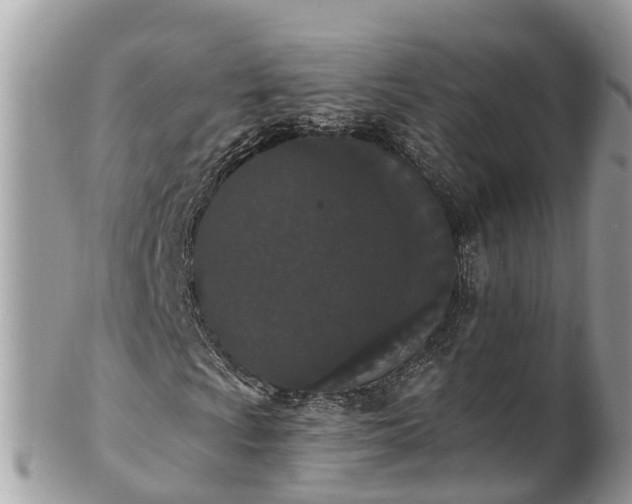 X0000101231009200807071406