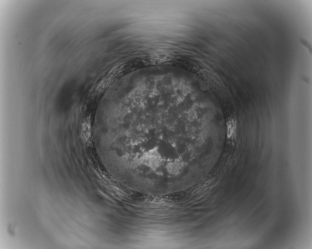 X0000101231011200807071406