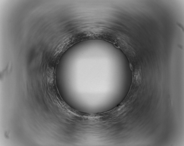 X0000101231012200807071406