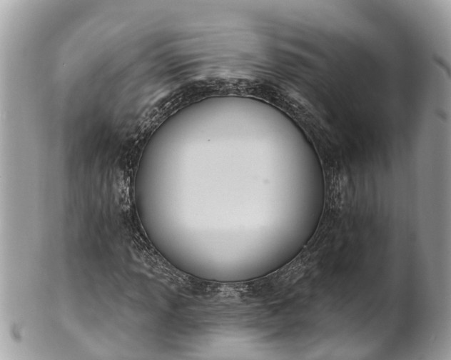 X0000101231013200807071406