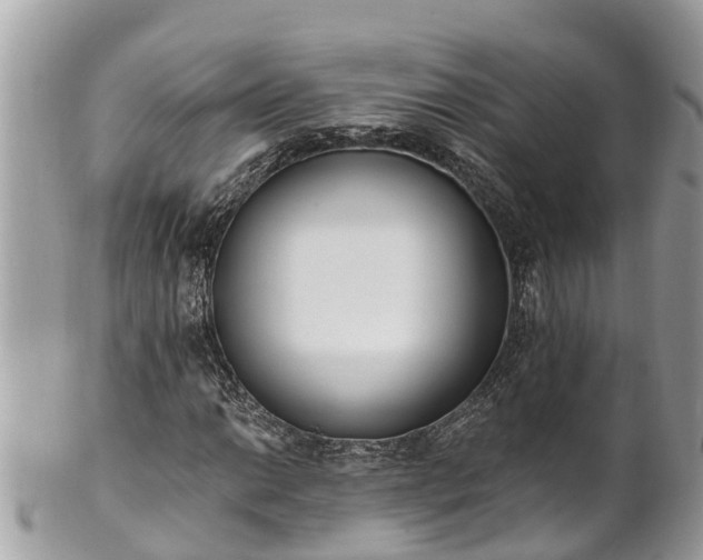 X0000101231014200807071406