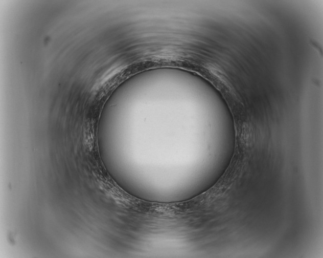 X0000101231015200807071406