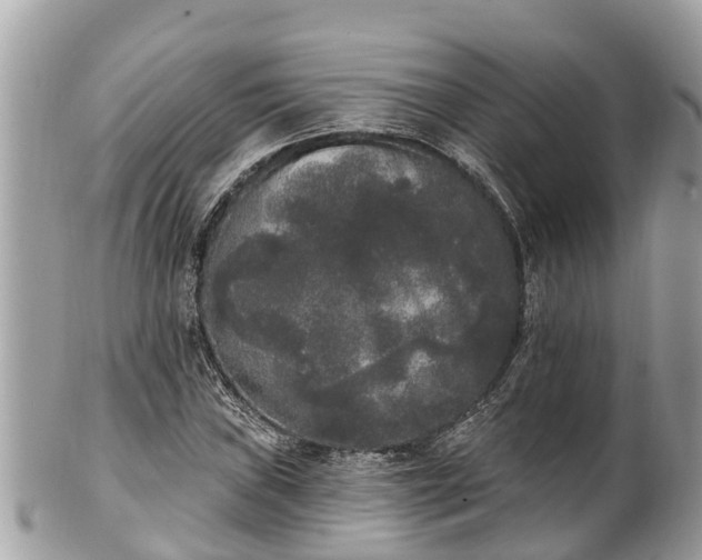 X0000101231019200807071407