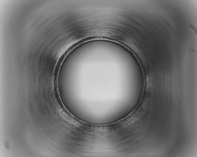 X0000101231020200807071407