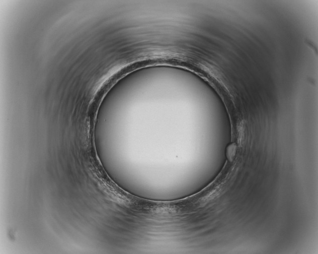 X0000101231021200807071407