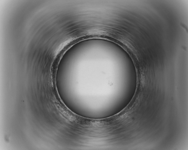 X0000101231022200807071407