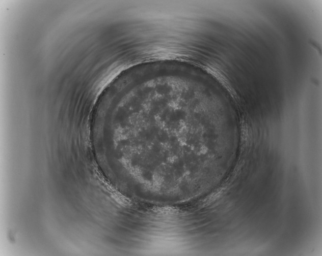 X0000101231023200807071407