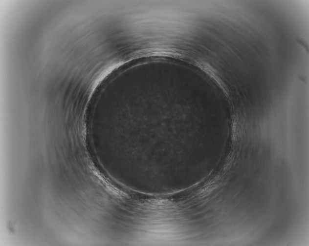 X0000101231024200807071407