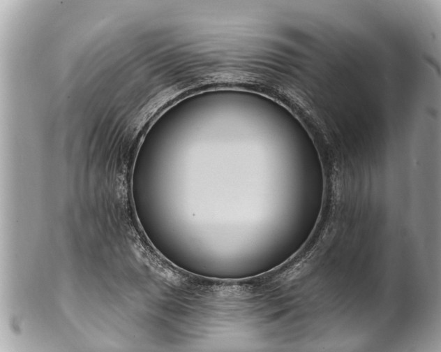 X0000101231025200807071407