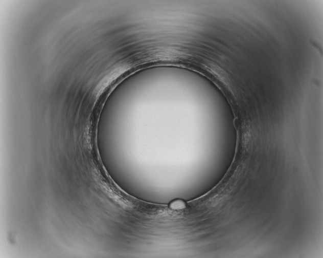 X0000101231026200807071407