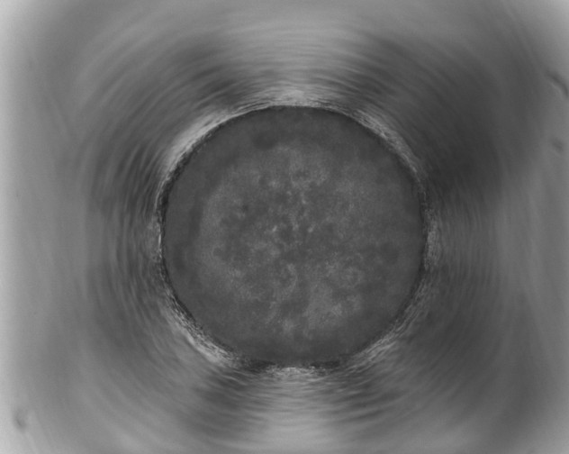 X0000101231027200807071407