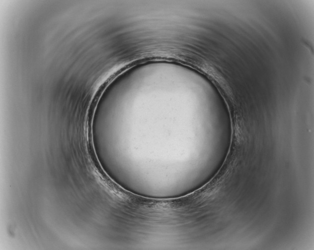 X0000101231028200807071407