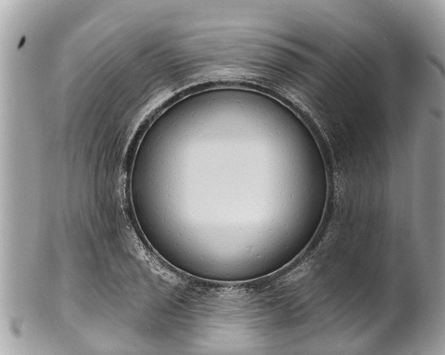 X0000101231029200807071407