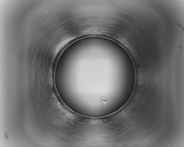 X0000101231030200807071407