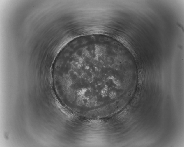 X0000101231031200807071407