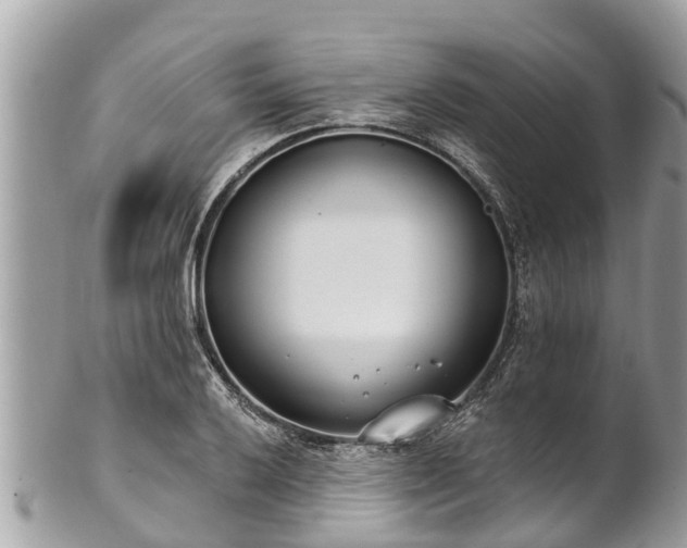 X0000101231032200807071407