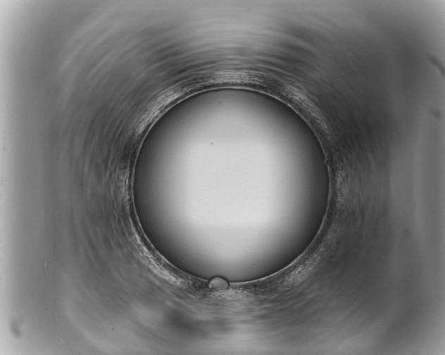 X0000101231033200807071407