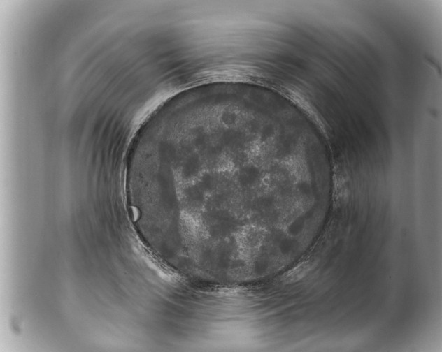 X0000101231035200807071407