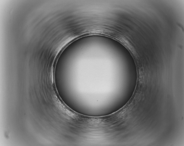 X0000101231036200807071407