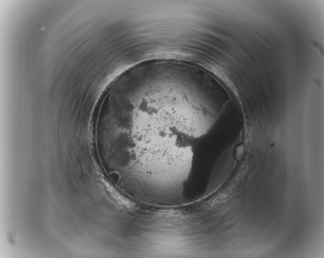 X0000101231037200807071407