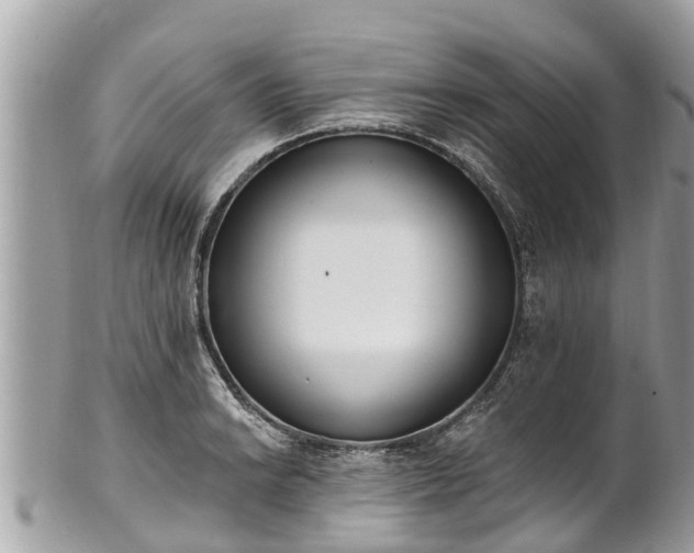 X0000101231038200807071407