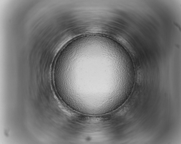 X0000101231039200807071407