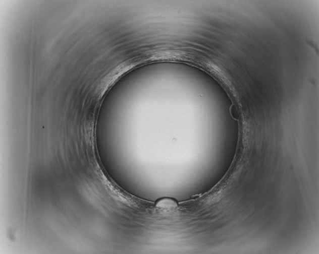 X0000101231041200807071407