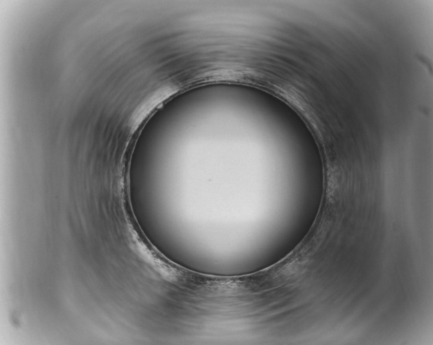 X0000101231042200807071407