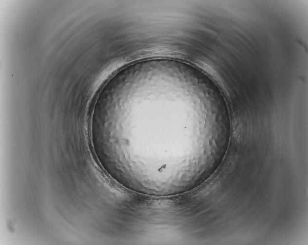 X0000101231043200807071407