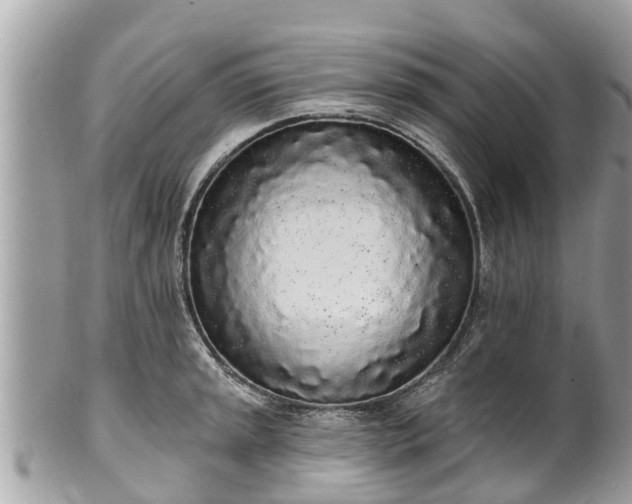 X0000101231045200807071407