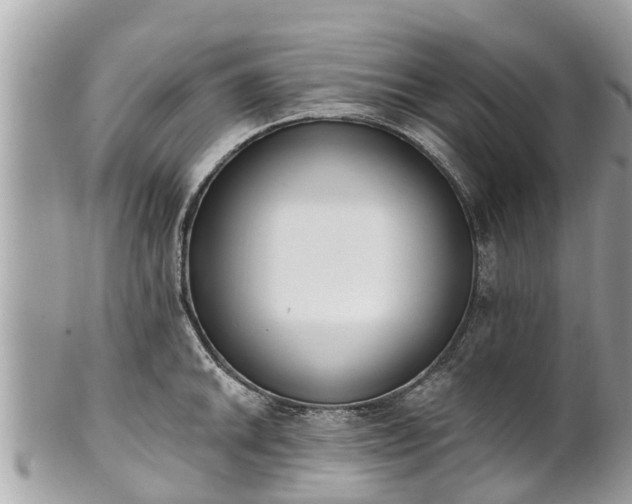 X0000101231046200807071407