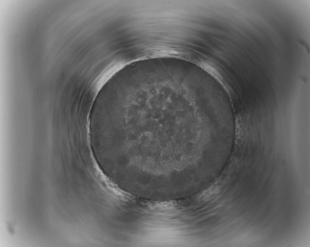 X0000101231047200807071407