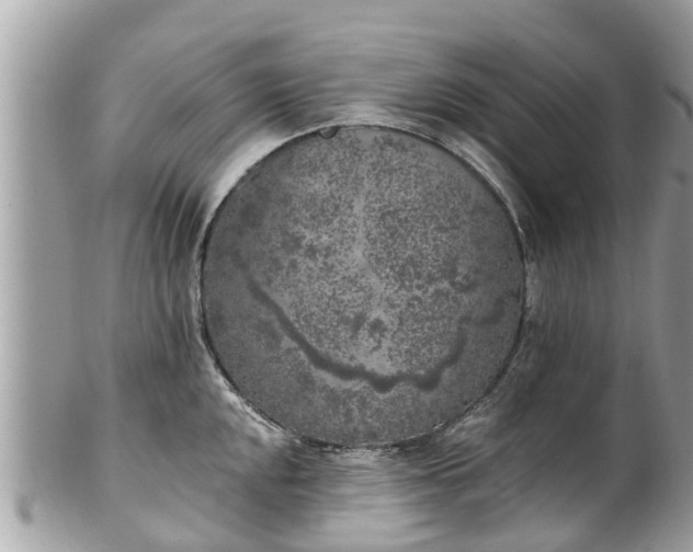 X0000101231048200807071407