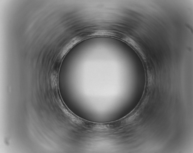 X0000101231049200807071407