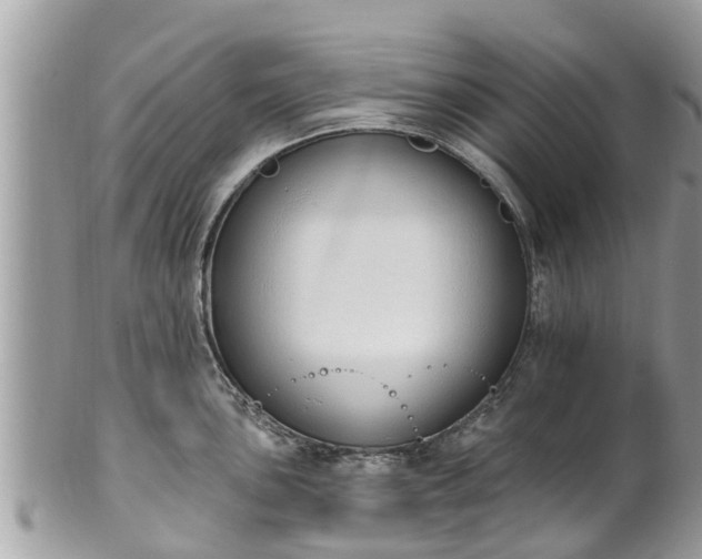 X0000101231051200807071407