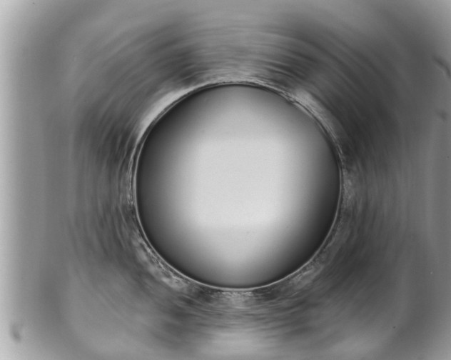 X0000101231052200807071407