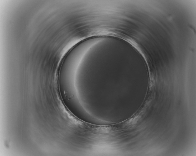 X0000101231053200807071407