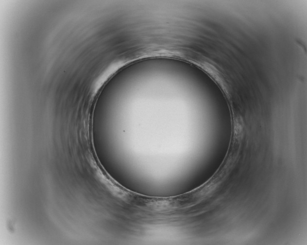 X0000101231054200807071407