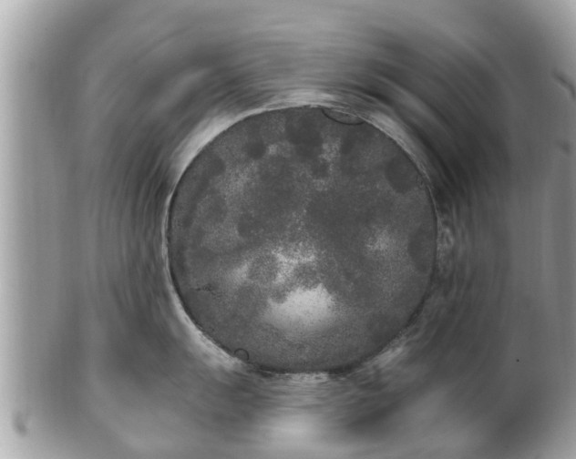 X0000101231055200807071407