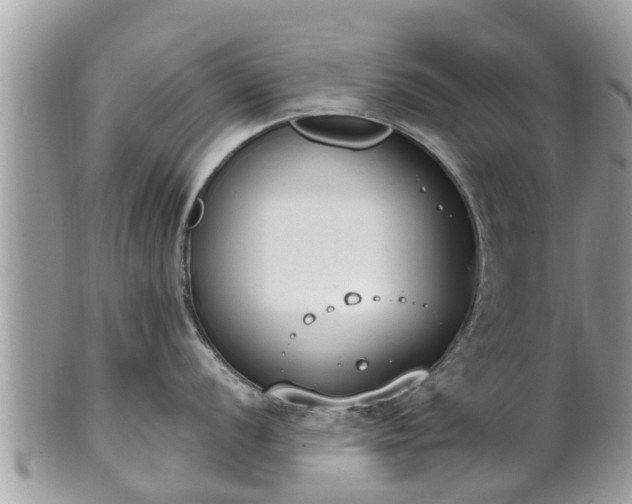 X0000101231056200807071407