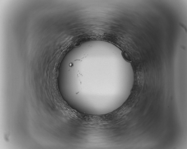 X0000101231057200807071406