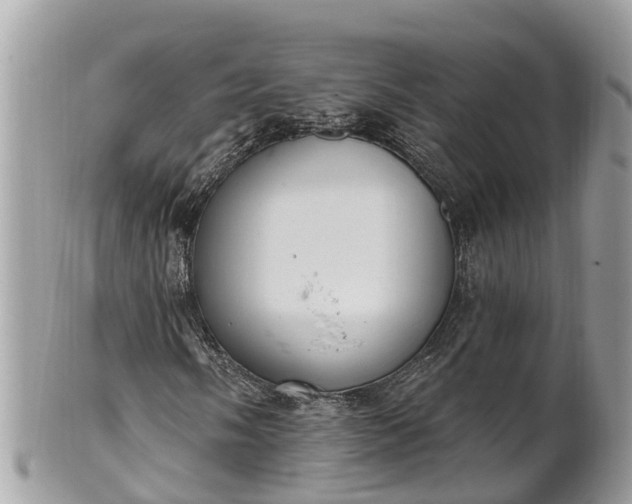 X0000101231058200807071406