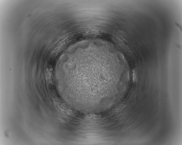 X0000101231059200807071406