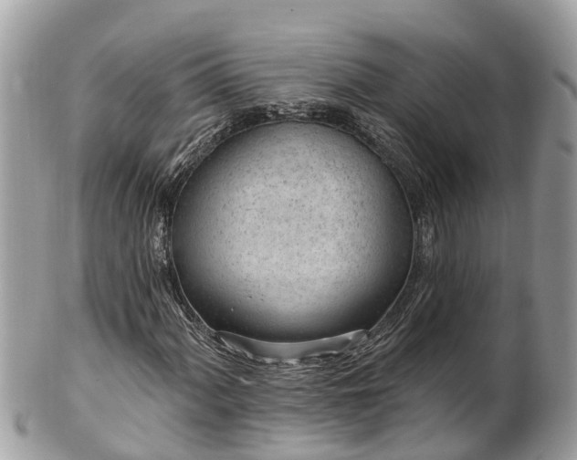 X0000101231060200807071406