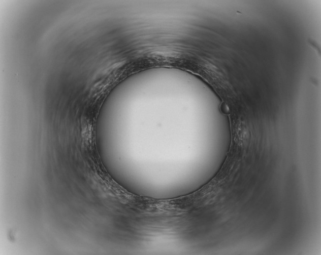 X0000101231061200807071406